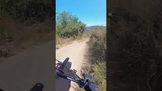 When the Trail isn't as bad as you though it was  #mountainbiketrails #easy