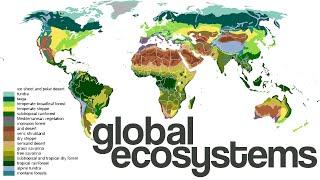 What are Global Ecosystems/Biomes?