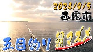 朝マズメした休日 in愛知県 西尾市 吉良　趣味のすすめ 024