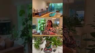 Dubai Home Tour | Indoor Garden #shorts #homedot #hometech