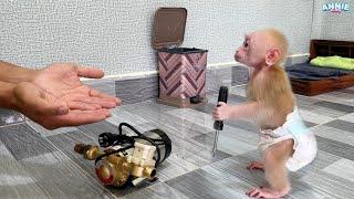 So smart! Baby monkey Annie helps dad fix household appliances