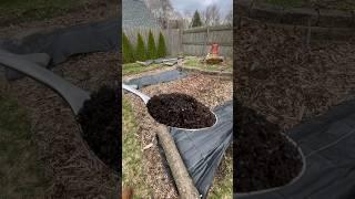 Improve Your Garden’s Soil Health!