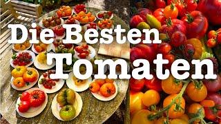 Die Besten Tomaten Sorten 2024 aus meinem Garten Tomatenverkostung