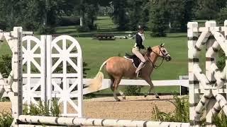 Candy Land’s Golden Ticket  Pony finals Schooling Walnut Kentucky 2024