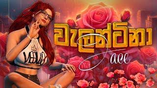 ඊයේ පාලුවෙන්ද හිටියෙ මං නැතුව...CeylonaRP | Valentina Jace