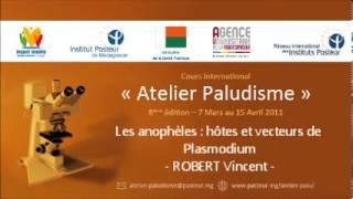 Les anophèles : hôtes et vecteurs de Plasmodium - ROBERT Vincent