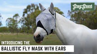 Introducing the Ballistic Fly Mask - Greg Grant Saddlery