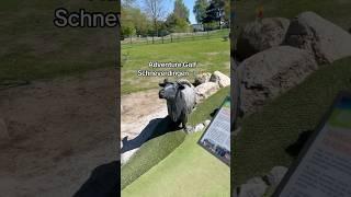 Adventure Golf Schneverdingen ️‍️#shorts #youtubeshorts #viralvideos #youtube #viralvideo #short