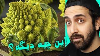 exotic fruits  عجیب غریب ترین میوه های دنیا