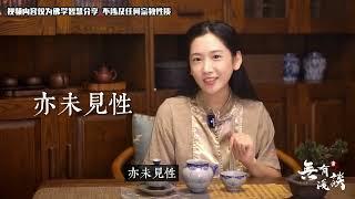 「素说金刚经 I 第22章」难倒无数禅宗大师的问题，究竟什么是佛