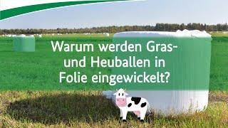 Warum werden Gras- und Heuballen in Folie eingewickelt?