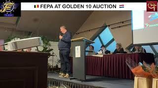 The Golden 10 auction November 9, 2024