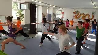 Vienna Wushu Guan Sommer Training