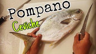 Pompano Surf Fishing| Catch, Clean, Cook| Destin, FL