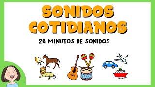 Sonidos Cotidianos  Ejercicios de discriminación auditiva  20 minutos de sonidos