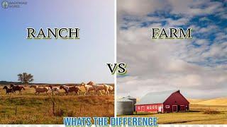 Ranch vs Farm: What’s The Difference?