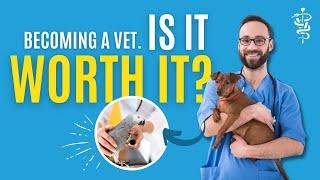 Is It Worth Becoming A Vet?