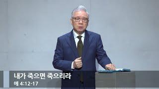 [아침예배] 내가 죽으면 죽으리라 (에 4:12-17)_베이직교회_조정민 목사_20240115