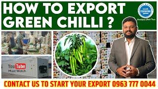 How to export Green Chilli to Dubai? How to start vegetable export? Learn India to Dubai export