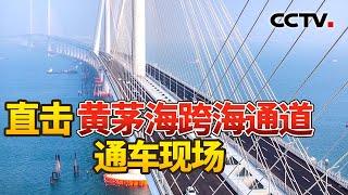 黄茅海跨海通道12月11日正式通车 总台三路记者直击通车现场 巨龙横卧气势足 湾区融合加速度 | CCTV中文《新闻直播间》