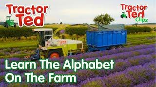 Learn The Alphabet On The Farm With Tractor Ted!  Tractor Ted Official #backtoschool