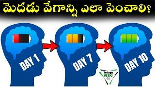 HOW TO IMPROVE YOUR BRAIN POWER? | మెదడు వేగాన్ని ఎలా పెంచాలి? | Telugu Geeks