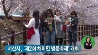 TJB뉴스 - 서산시, ‘제2회 해미면 벚꽃축제’ 개최 (뉴스방영 2018.04.13)