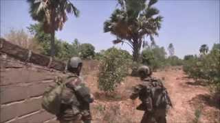 Tribute to French soldiers - Mali War