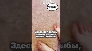 Что меня удивило в самом сказочном регионе России
