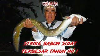 AKHIRNYA STRIKE BABON SIDAT TERBESAR DI TAHUN 2024 ! | #NJAREM