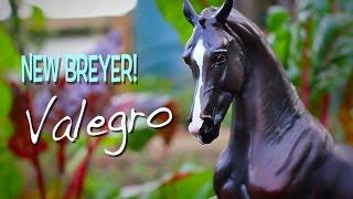 New Breyer Valegro! - Review (kinda)