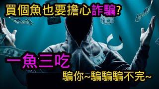 什麼! 買魚也會被詐騙?! 帶你了解美國龍魚詐騙套路 | 水族系列