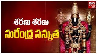 Sharanu Sharanu Surendra song | Annamaya song | Devotional songs | BIG TV Bhakthi