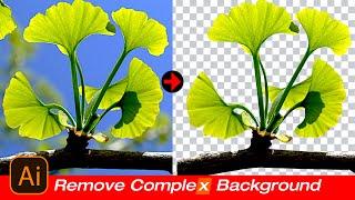 How to remove complex background of an image in illustrator