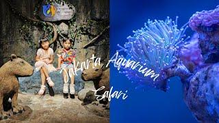 Jakarta Aquarium safari di dalam mall central park dan neo soho @centralparkneosoho1516