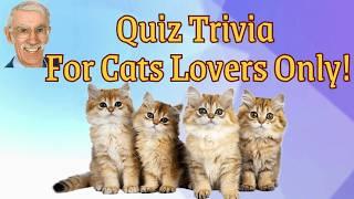 Think You Know Cats?  Take the Cat Trivia Quiz with Answers Now!