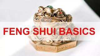 How to Place Your Feng Shui Money Frog for Good Luck - FENG SHUI BASICS