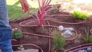 Drought Tolerant Garden made Simple