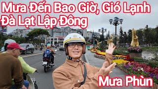 Đà Lạt Mưa Phùn Gió Lạnh Đến Bao Giờ? Du Lịch Đà Lạt Chú Ý!