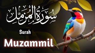 Surah Muzammil Full ️ II  (The Enshrouded One) | 73-سورۃ المزمل ️