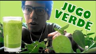 RECETA: Super Jugo de Verdolaga