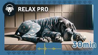 Music to relax your great dane DOG / TV for your great dane DOG.