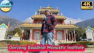 Dorzong Buddhist Monastic Institute Road Trip Scenic Journey & Spiritual Vibes #viralvideo #trending