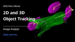 2D and 3D Object Tracking | ZEISS arivis Pro | ZMCC Live Demo | Episode 11