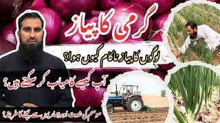 Onion farming پیاز کی کاشت|Best tips for farmers |Profitable onion farming |IR FARMS