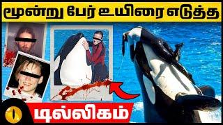 ஒரு கொலைகார திமிங்கிலத்தின் கதை! | Tilikum - The Story of a Killer Whale | Animaltube Tamil