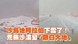 沙烏地阿拉伯下雪了！荒蕪沙漠變「銀白大地」Snow Falls in Saudi Arabia! Desert Transforms into a White Wonderland