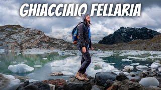 Trekking allo spettacolare ghiacciaio FELLARIA a 2600 mt ️