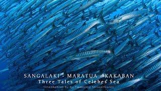 SANGALAKI - MARATUA - KAKABAN | Three Tales of Celebes Sea