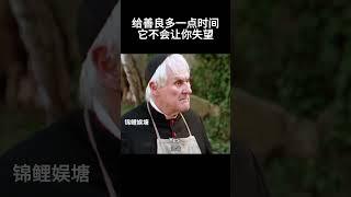 最大的报复就是宽容 #movie #情景剧